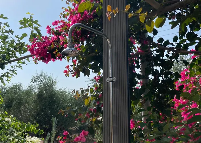 Lagouvardos House Casa de Férias Marathopoli